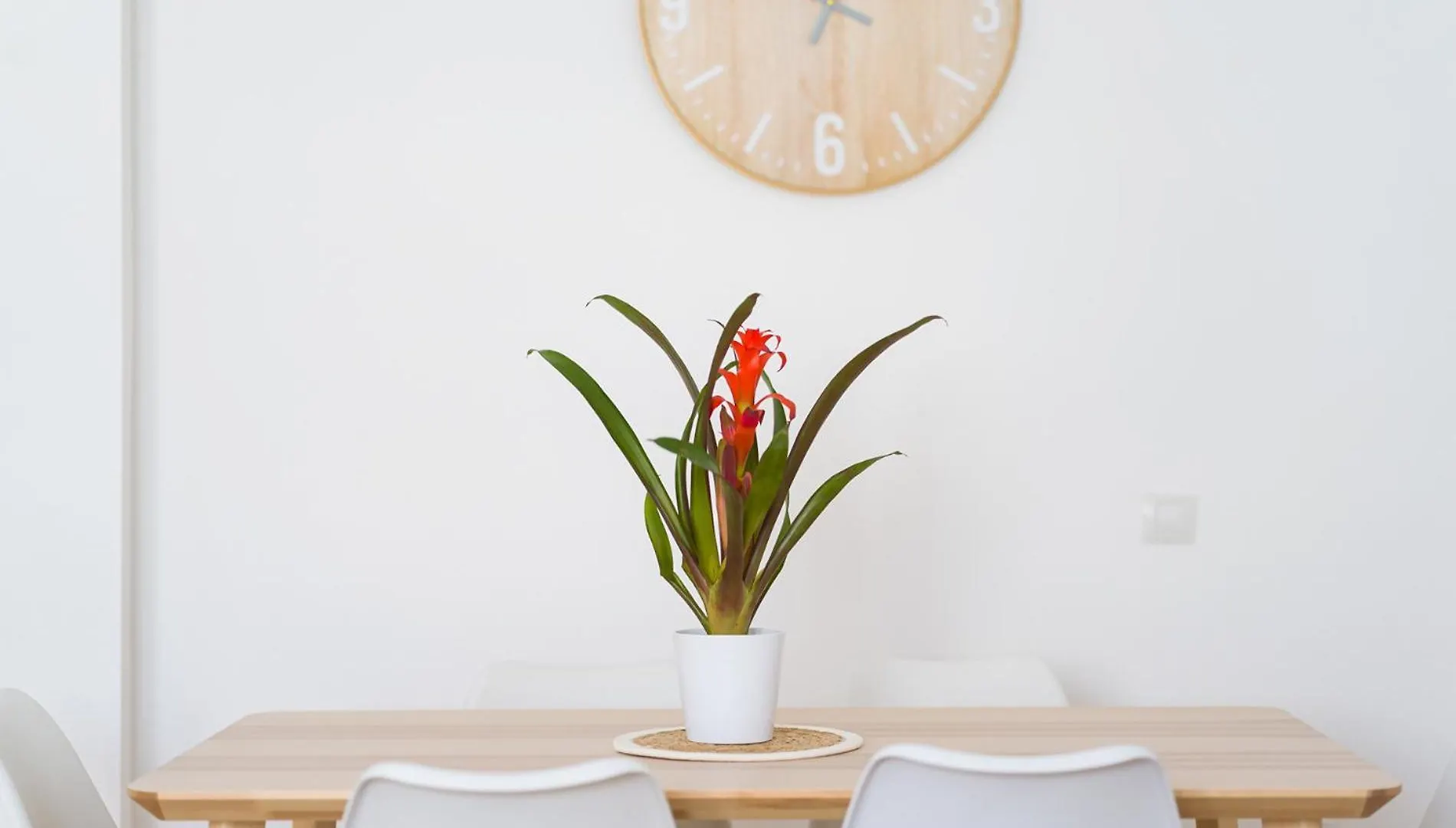 푸에르토델로사리오 Mahostly Apartamento Cantador 아파트